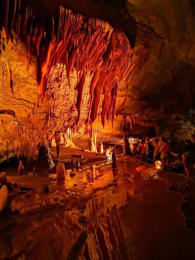 Magnifique Gite En Pierres 6 Personnes Avec Piscine Privee Ardeche Plein Sud Lablachère 외부 사진